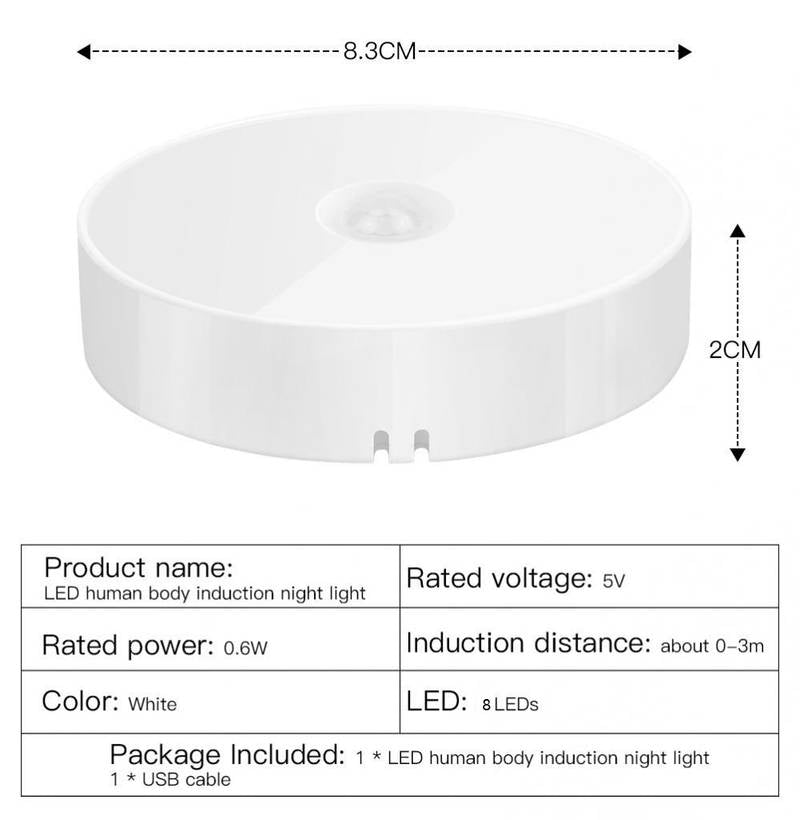 Motion Sensor Light (pack of 2)